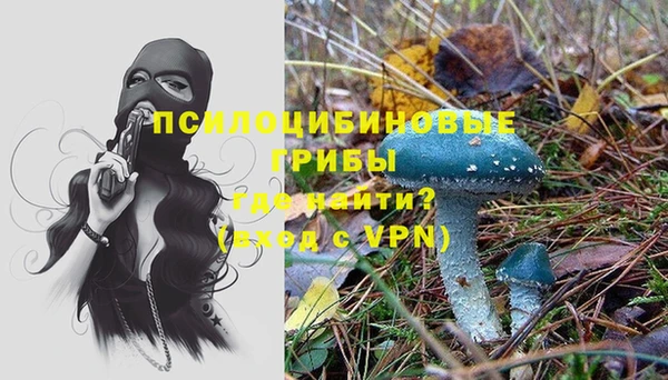 тгк Бугульма